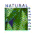 Consulting symbols; Actual size=180 pixels wide